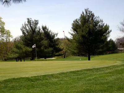 Manicured golf-course green with a flagstick framed by tall pines