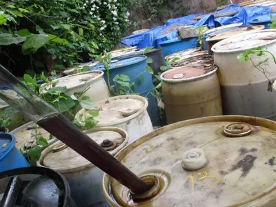 Weathered plastic drums crowded in overgrowth as liquid drains into one marked 13