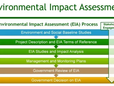 Flow chart of the Environmental Impact Assessment process stages and stakeholder engagement