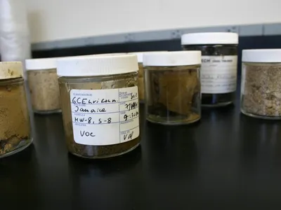 Labeled GCE soil sample jars lined up on a laboratory bench
