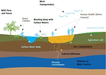 Diagram of soil vapor intrusion pathways from contaminated groundwater into a building