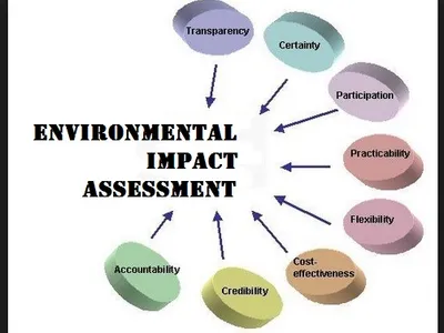 Diagram of Environmental Impact Assessment principles like transparency and accountability