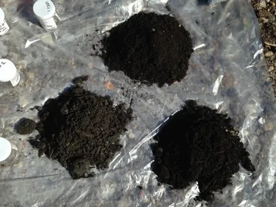 Mounds of dark soil on plastic sheeting beside labeled sample-jar lids