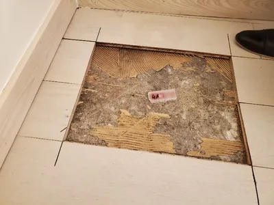 Lifted floor tiles exposing old adhesive with a labeled sample container for testing